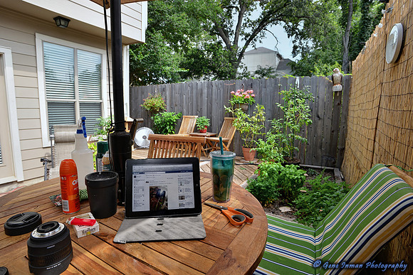 Houston Summer Morning Yard- 6/8/2013