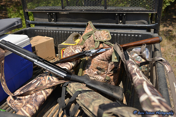 Dove Hunt 2013