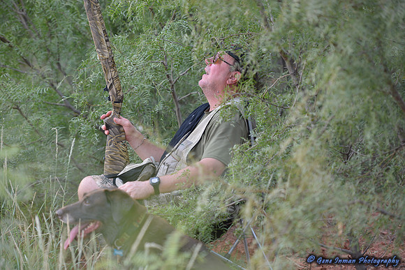 Dove Hunt 2013