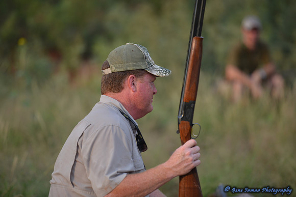 Dove Hunt 2013