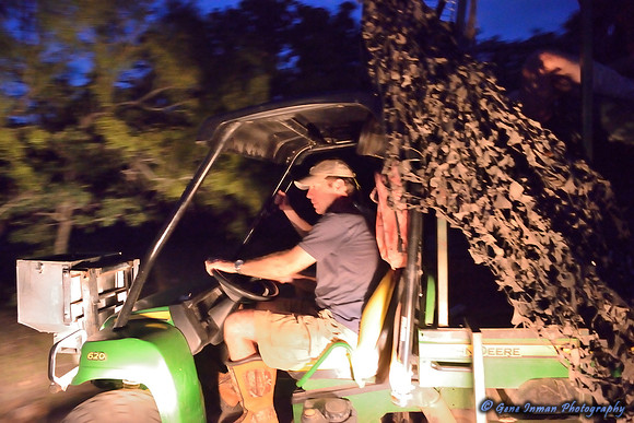 Dove Hunt 2013