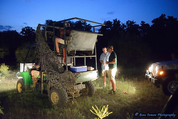 Dove Hunt 2013