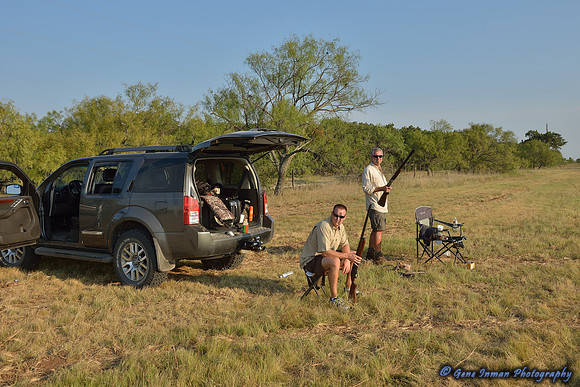 Dove Hunt 2013