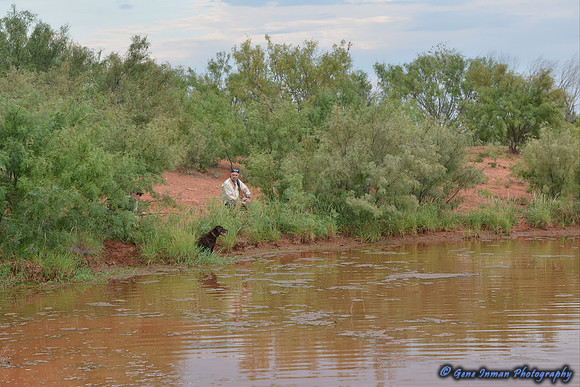 Dove Hunt 2013