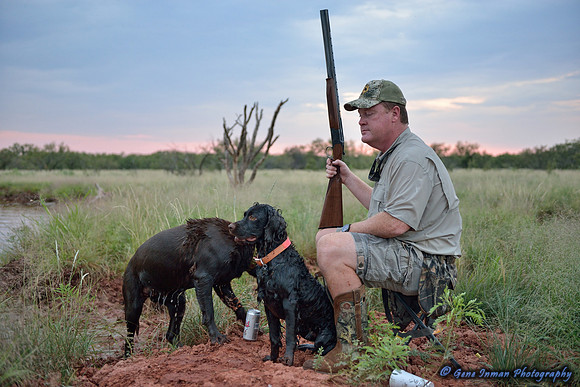 Dove Hunt 2013