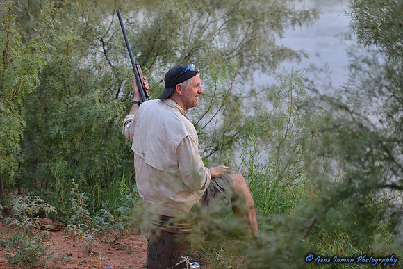 Dove Hunt 2013