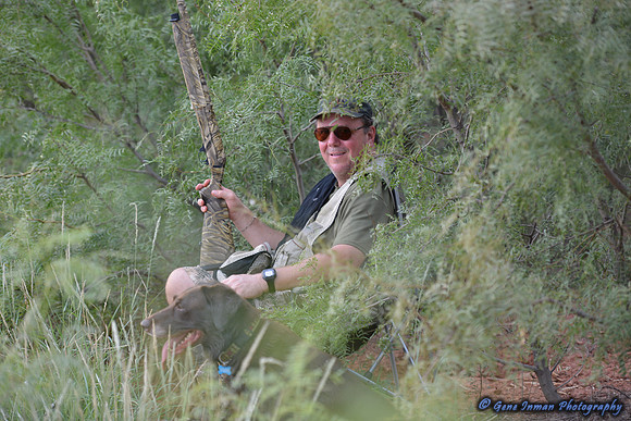 Dove Hunt 2013