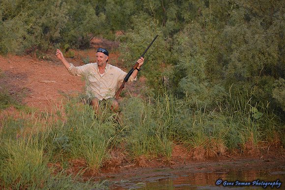 Dove Hunt 2013