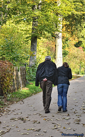 DSC_1169.NEF - Potsdam Germany