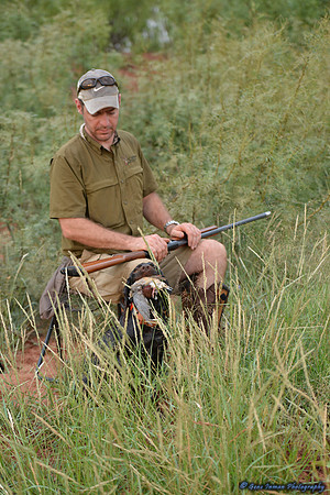 Dove Hunt 2013