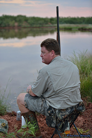Dove Hunt 2013