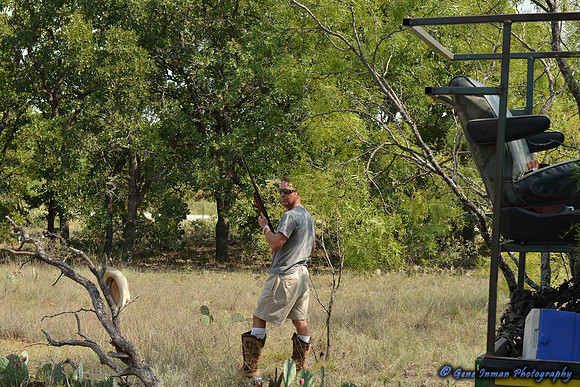 Dove Hunt 2013