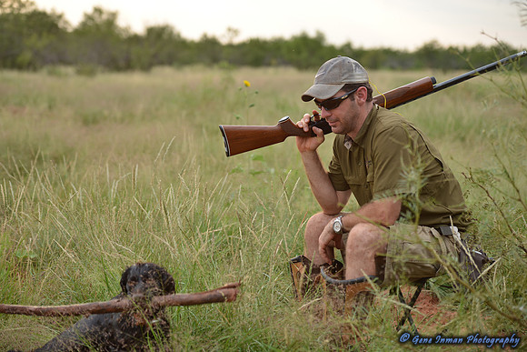 Dove Hunt 2013