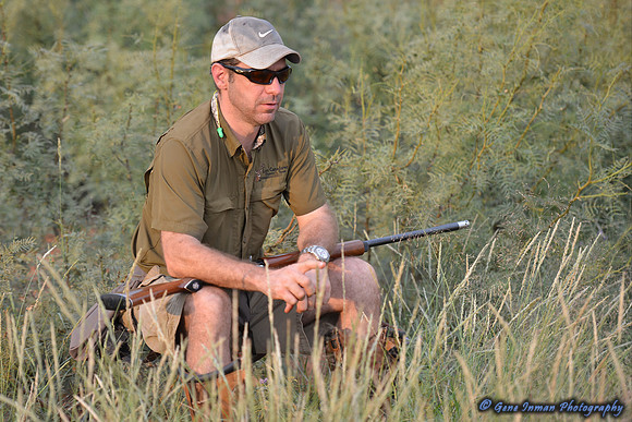 Dove Hunt 2013