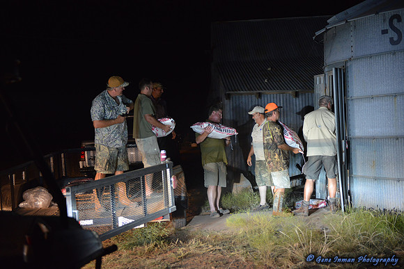 Dove Hunt 2013
