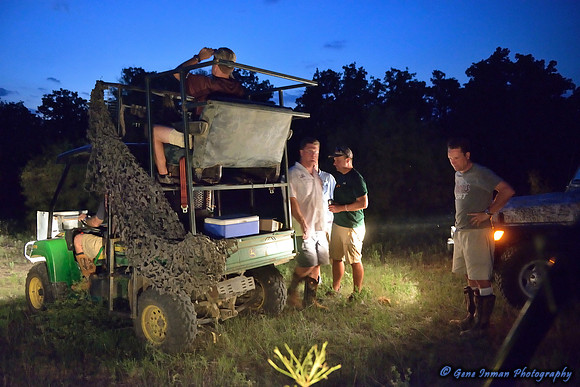 Dove Hunt 2013