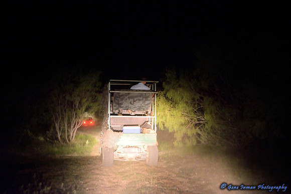 Dove Hunt 2013