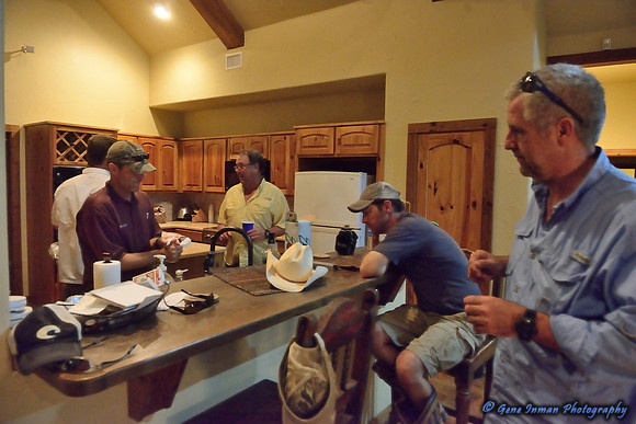 Dove Hunt 2013