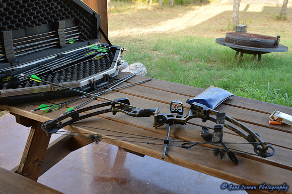 Dove Hunt 2013
