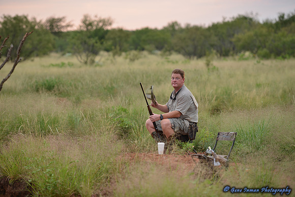 Dove Hunt 2013