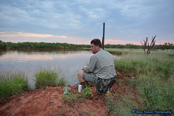 Dove Hunt 2013