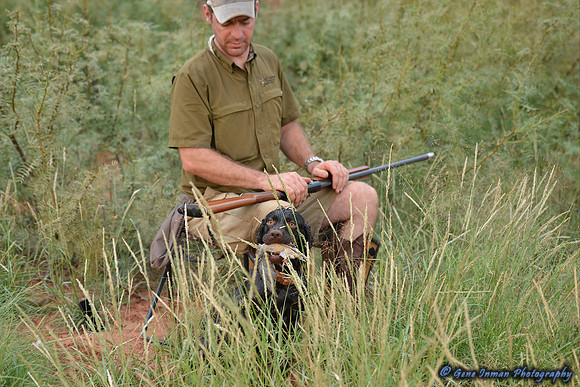 Dove Hunt 2013