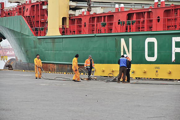 GPI_9445_03513- Coli -Ulsan_382_Batch_383_Batch2_273_V4B-TopezLessSatColorFix