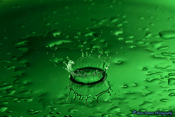 Nikon D800 test images of macro water drops, using the SB900, Pocketwizard, & Nikon105mm Macro