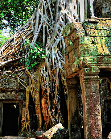 GPI_6205_Cambodia-done_topaz_GenesColor