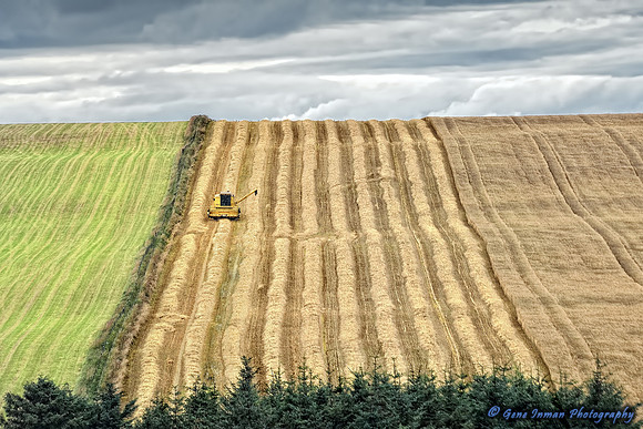 Harvest - GPI_6663_4.nef