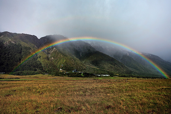New Zealand 15