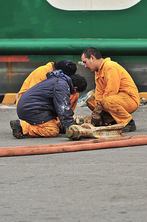 GPI_9511_03579- Coli -Ulsan_421_Batch_422_Batch2_295_V4B-TopezLessSat