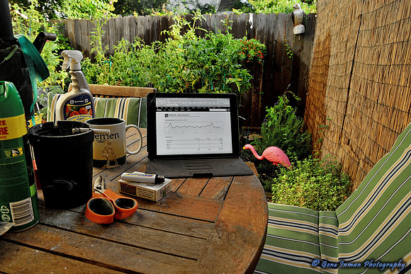 Wednesday Office