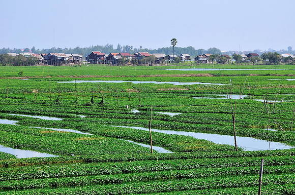 GPI_7275_Cambodia-done_topaz_GenesColor