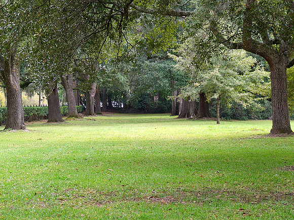 Dunleith plantation 7
