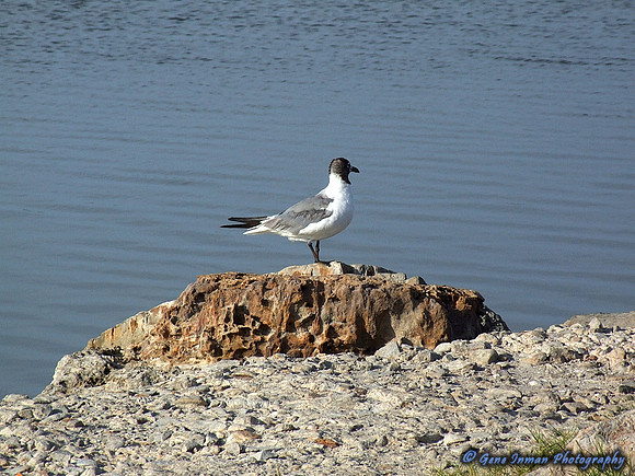 DSCF0611