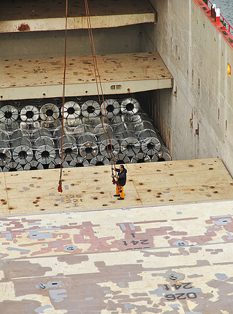 GPI_9245_03313- Coli -Ulsan_282_Batch_283_Batch2_204_V4B-Topez