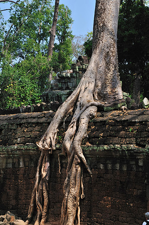 GPI_6166_Cambodia-done_topaz_GenesColor
