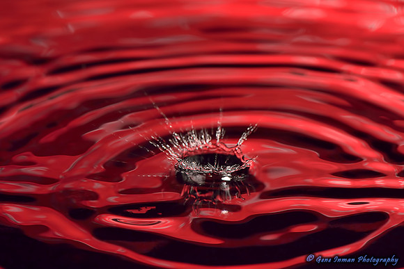 Nikon D800 test images of macro water drops, using the SB900, Pocketwizard, & Nikon105mm Macro