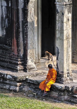 Monk & Monkey -  Angkor Wat
