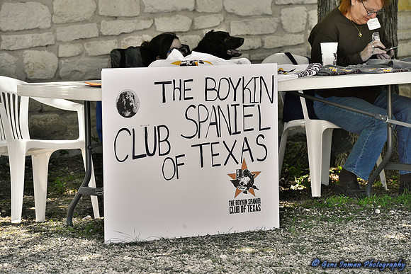 FI_1153 - Boykin Spaniel Event - Boykin Spaniel Club of Texas