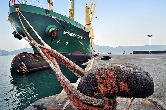 Coli Shipment - Ulsan, Korea