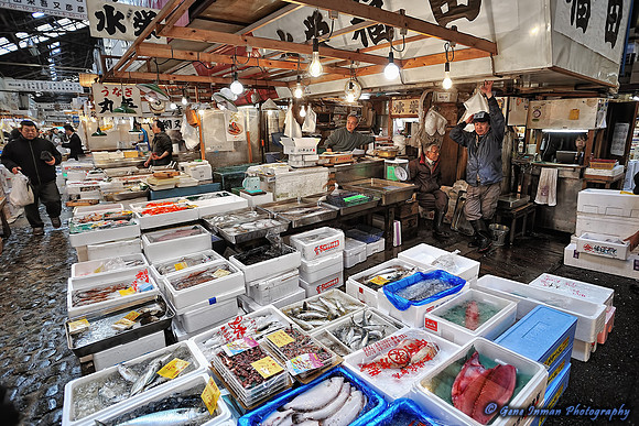 GPI_8683_1133 Tokyo-tpz.jpg -Tokyo Fish Market