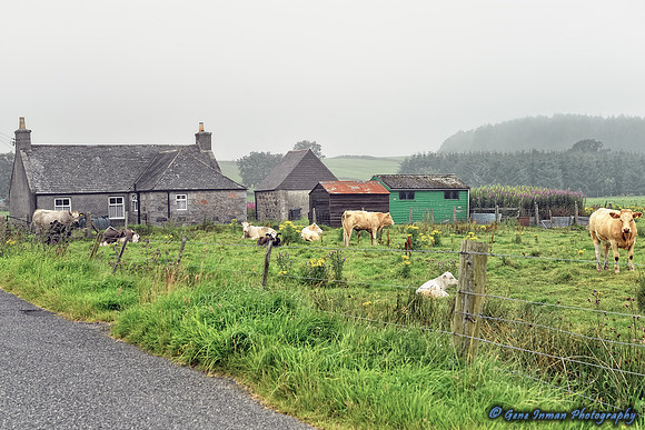 Scottish Farmhouse -GPI_7284.NEF