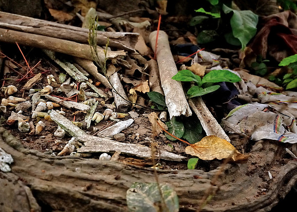 GPI_7267_Cambodia-done_topaz_GenesColor