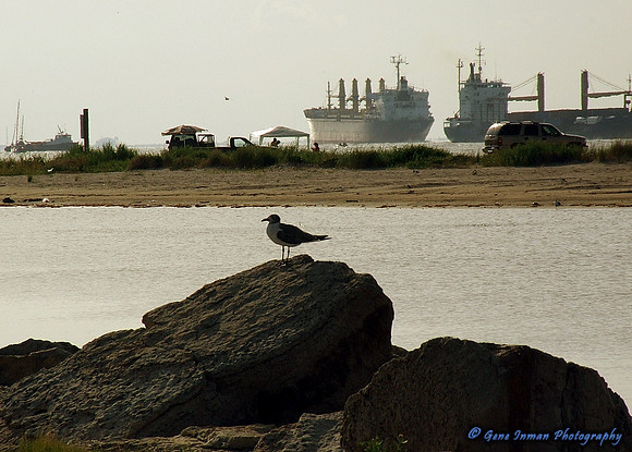 DSCF0612