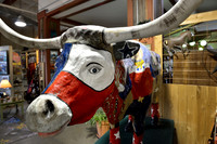 Rodeo - Fort Worth, Texas