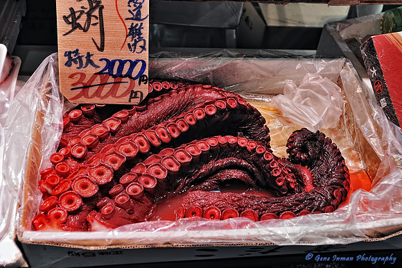 GPI_6611_01134-Japan -doneTPZ.jpg -- Tokyo Japan