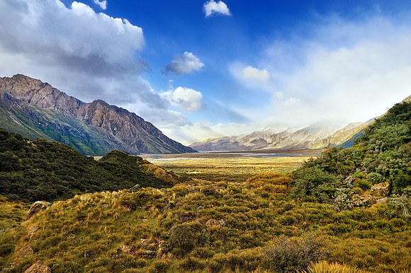 New Zealand 17