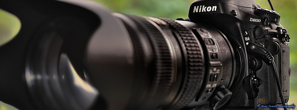 Nikon D800 Tests: